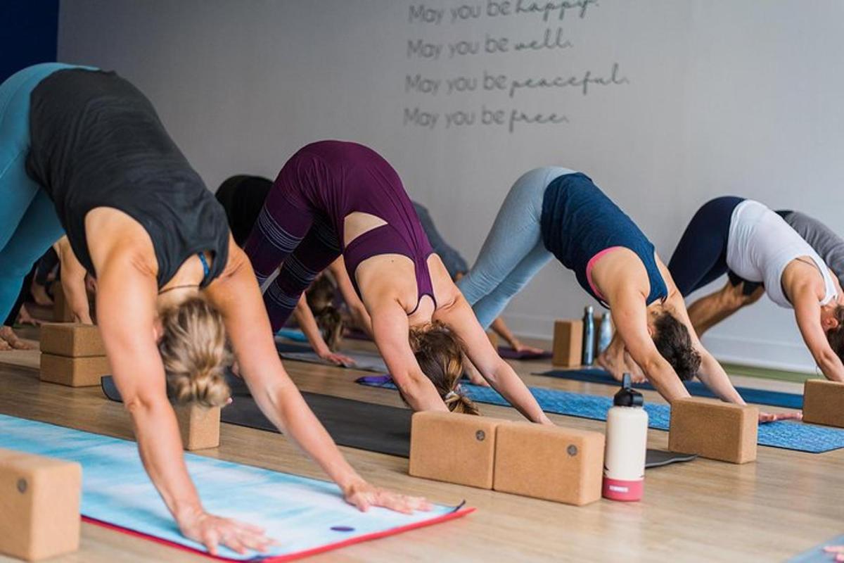 un grupo de personas en una clase de yoga