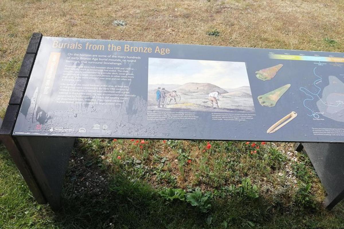 a sign for the bongo age sitting on the grass