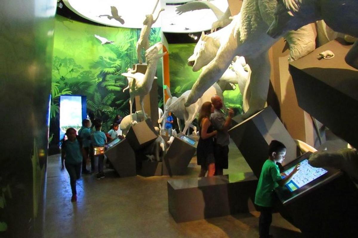 skupina lidí stojících před expozicí dinosaurů