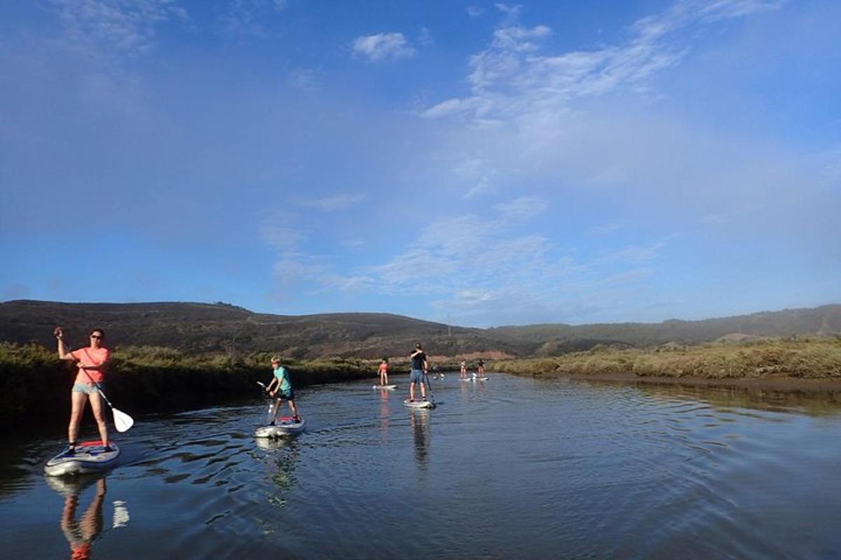 skupina lidí na paddleboardech na řece