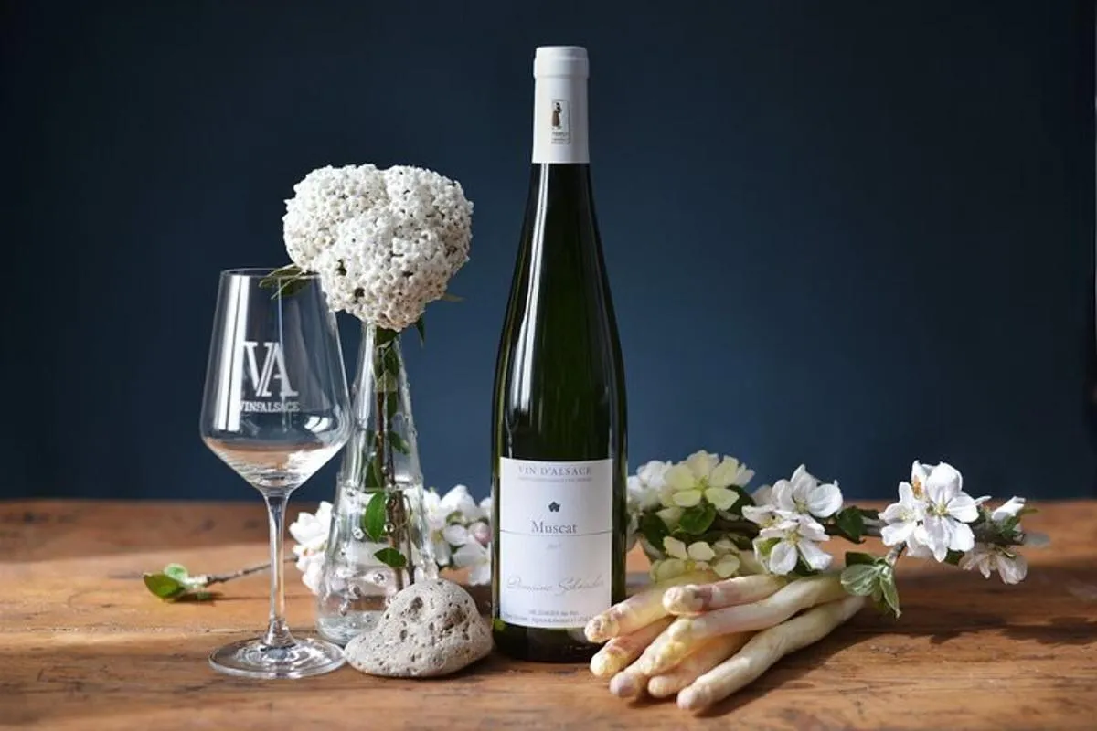 Apéro chez le Vigneron avec Visite de Cave et Dégustation de Vin – photo 3