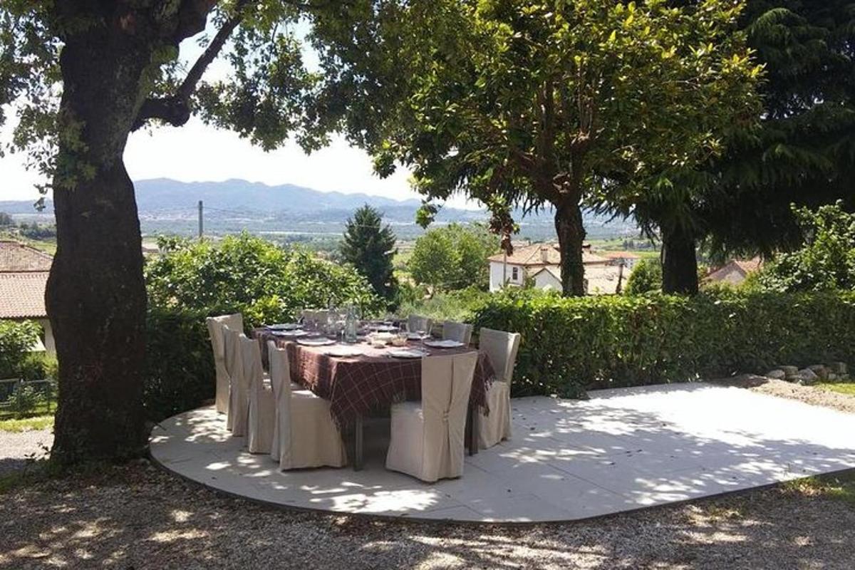 un tavolo apparecchiato per un pasto sotto un albero