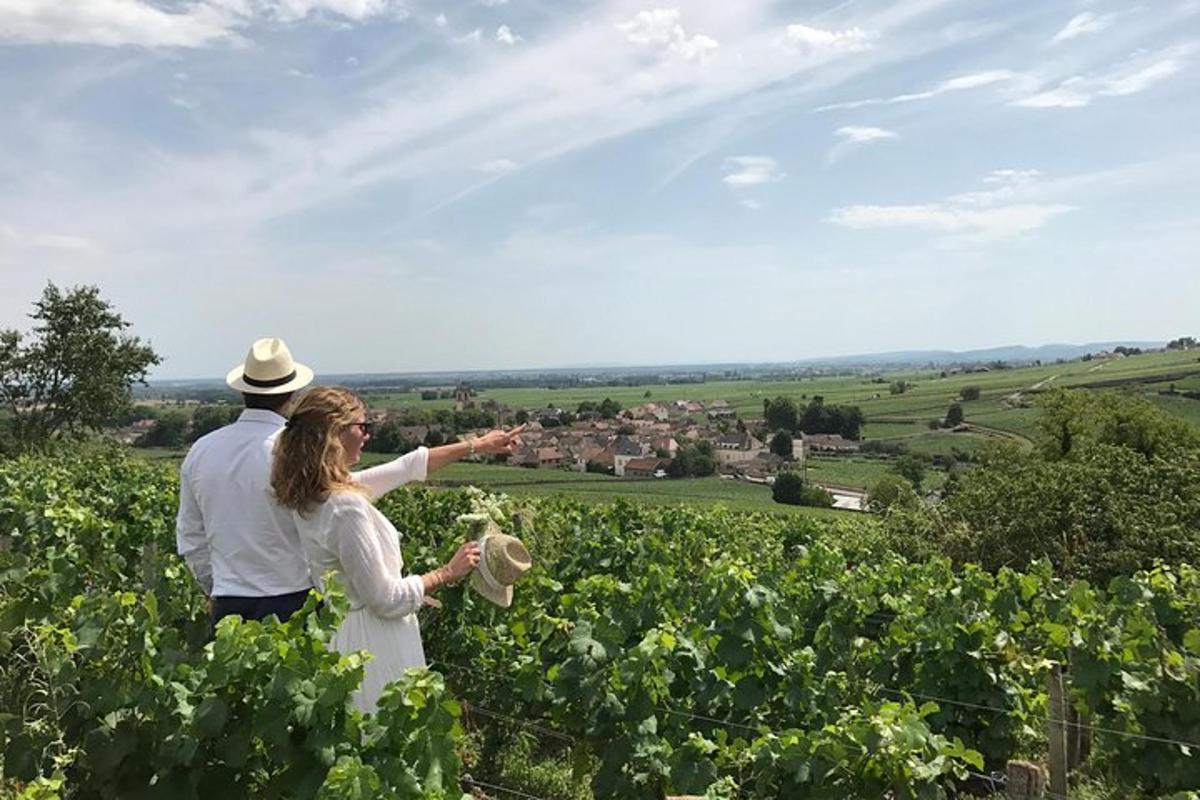 a man and woman standing in a field of vines