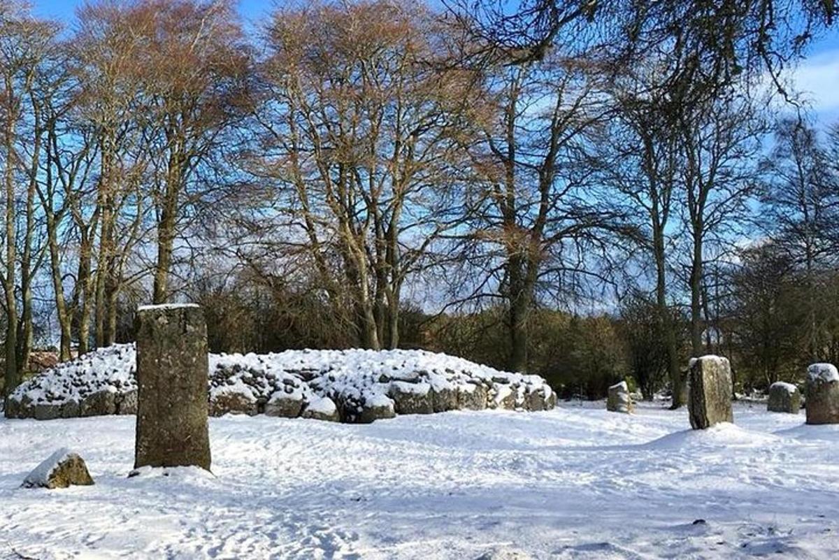 un parco innevato con rocce e alberi