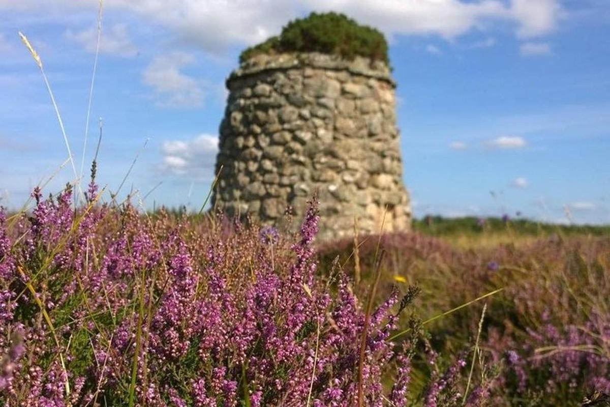 una torre di pietra in un campo con fiori viola