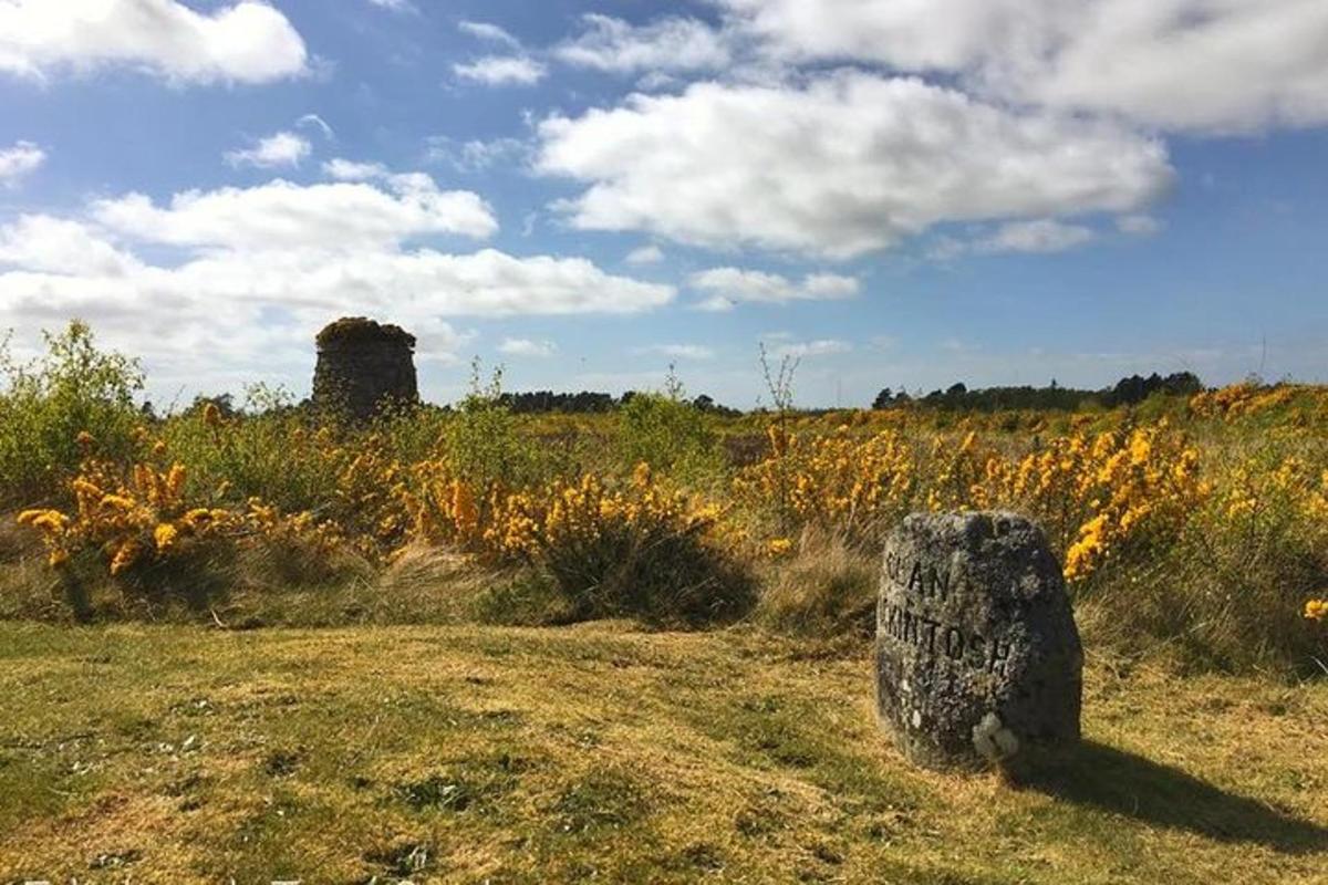 et felt med høyt gress med en stein i forgrunnen