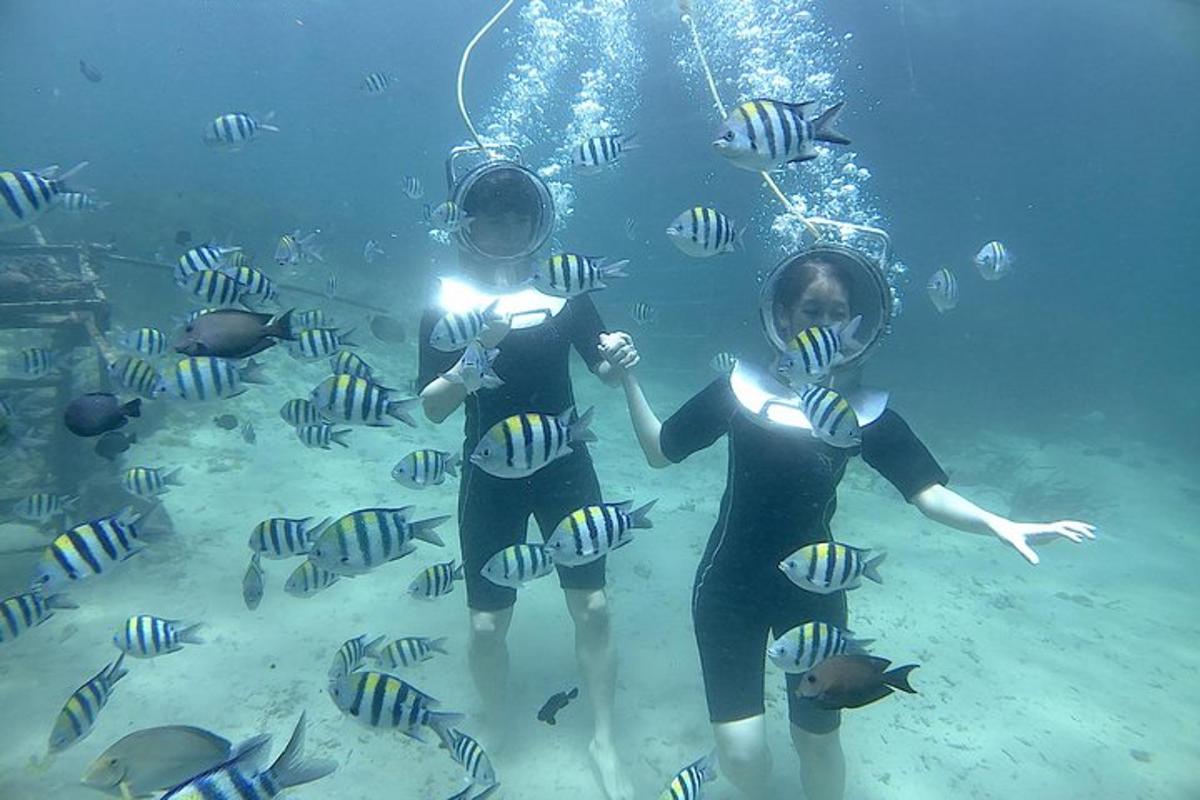 Tres mujeres están paradas en el agua con peces.