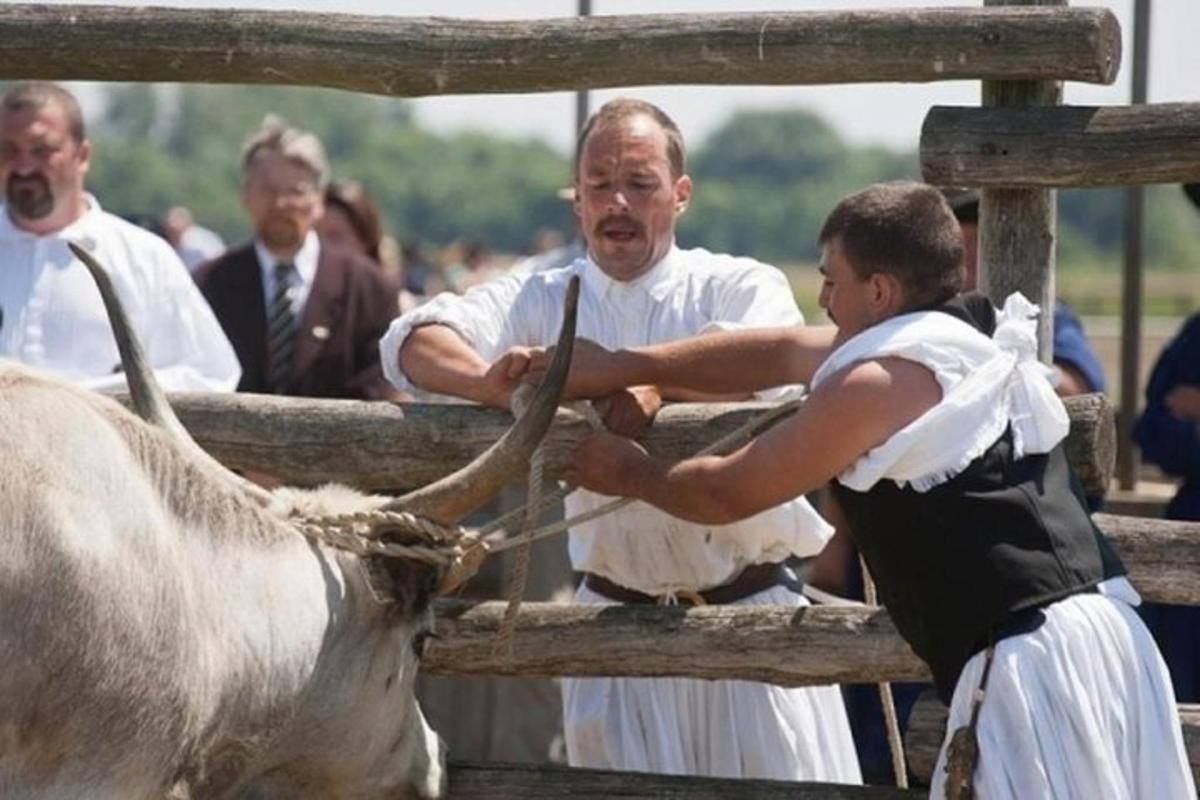 Foto dell’attrazione numero 1