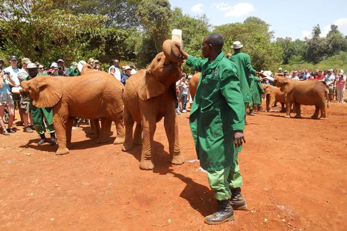 a man in green standing next to a group of elephants