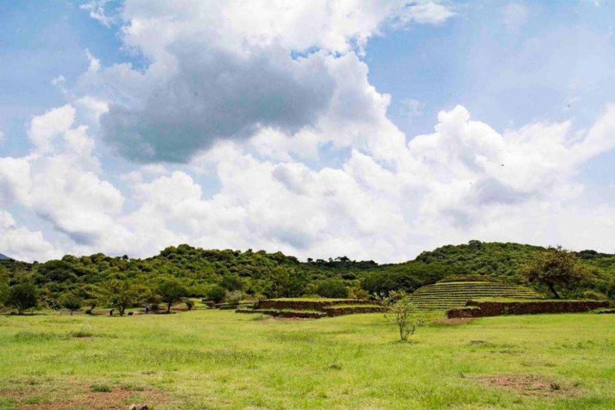 a green field with a cloudy sky and trees