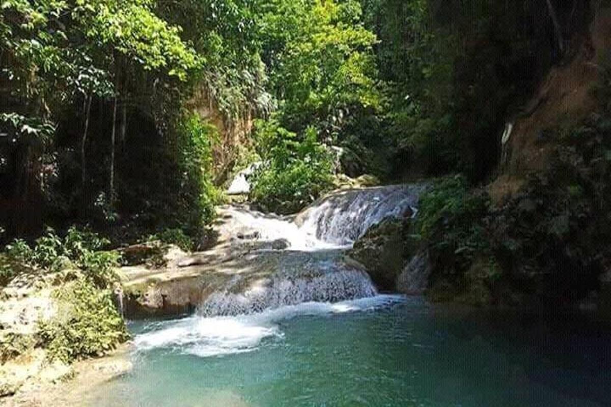 un ruscello d'acqua in mezzo a una foresta