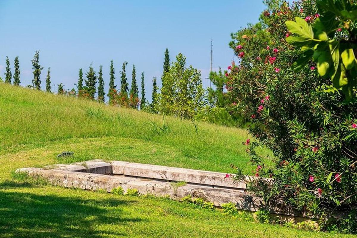 una panchina di pietra su una collina erbosa con fiori