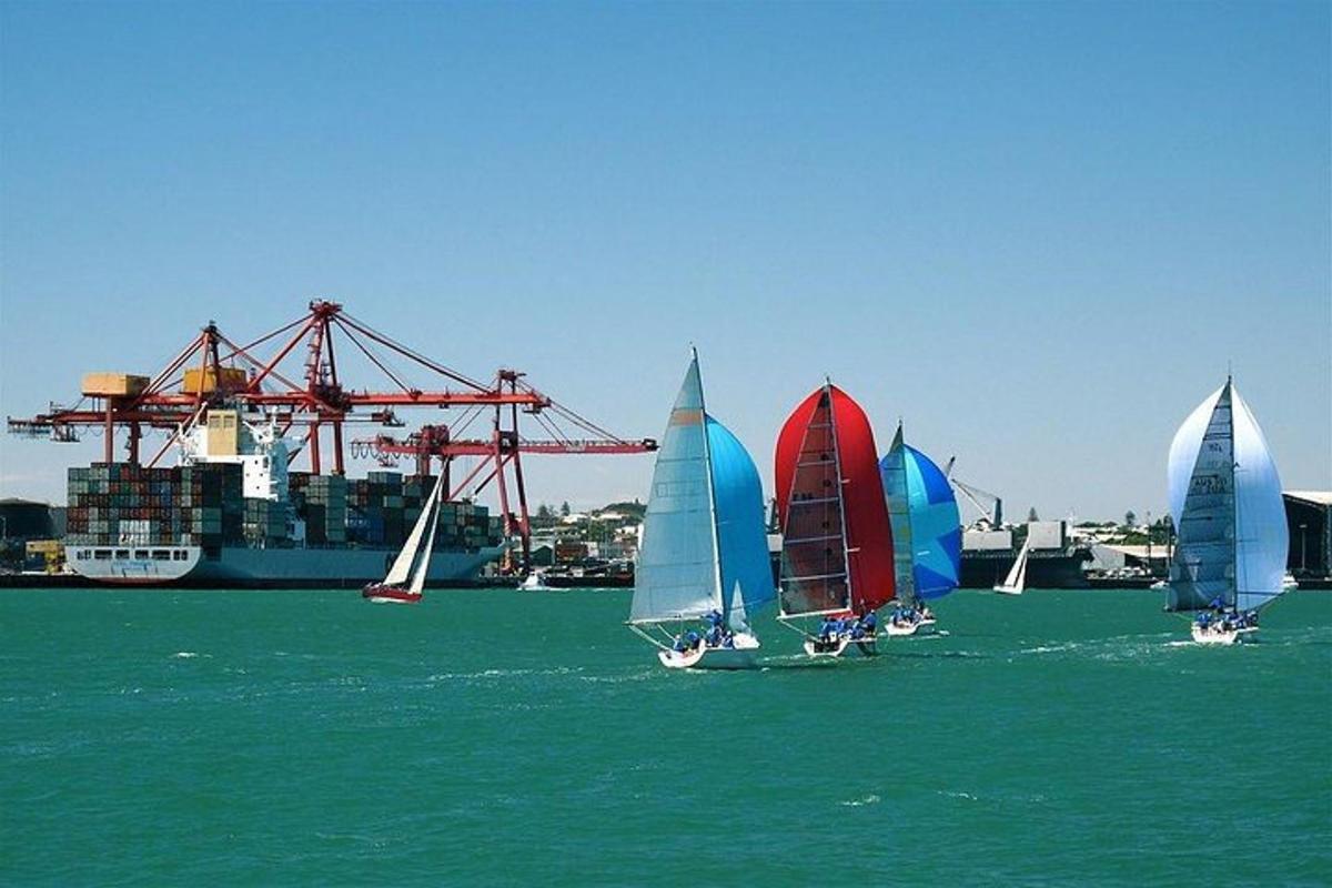 un grupo de veleros en el agua con un barco
