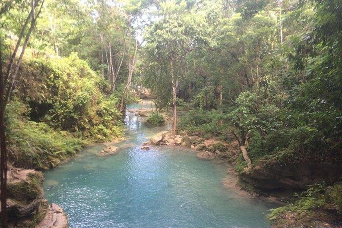 un fiume in mezzo a una foresta