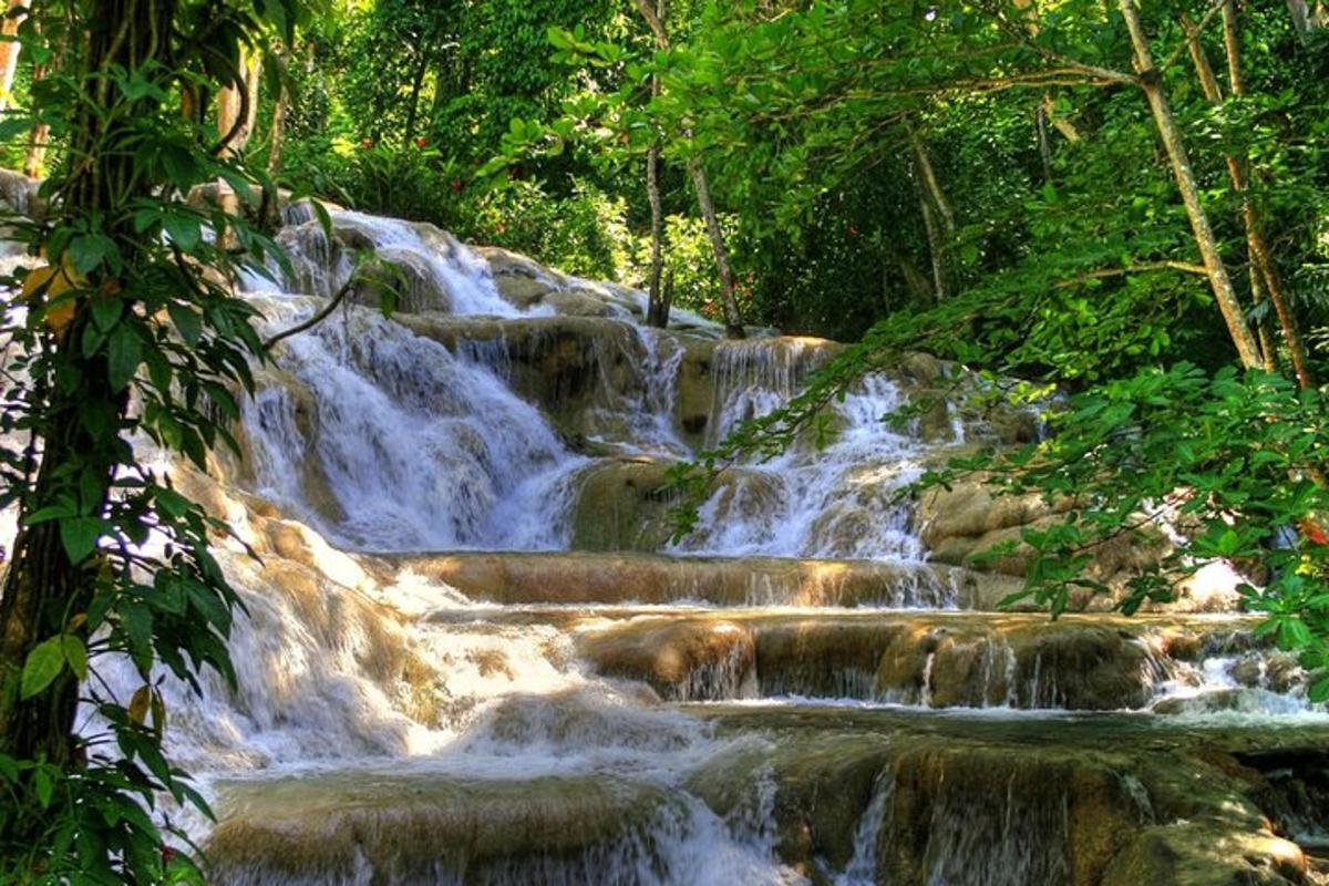 een waterval in een bos met rotsen en bomen