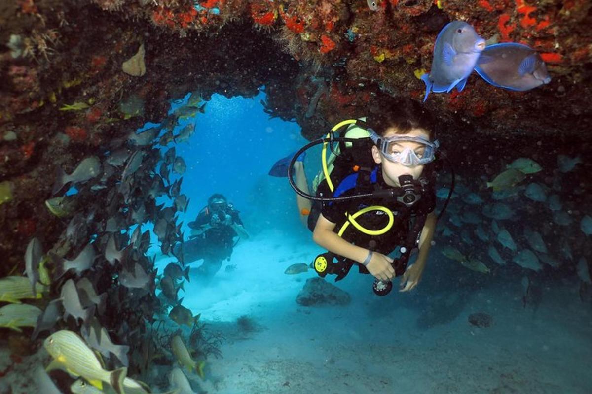Un hombre con traje de buzo nadando en el agua con peces.