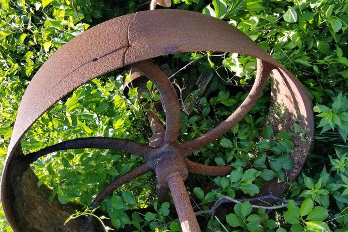 a statue of an octopus on top of a bush