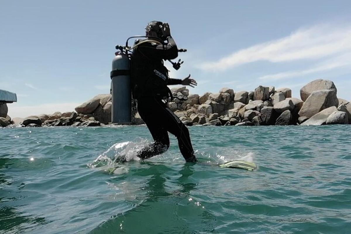 a person in the water in the ocean