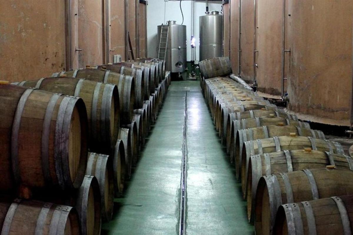 a row of wine barrels in a cellar