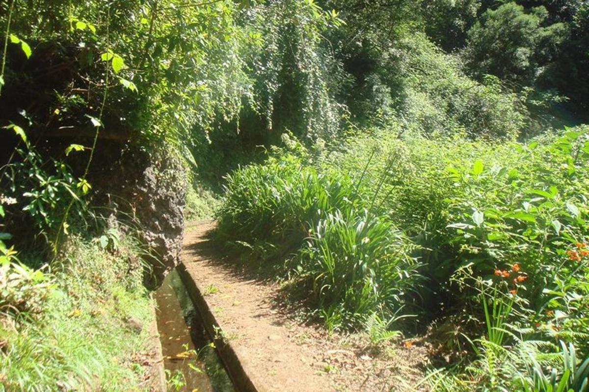 jejak tanah di tengah-tengah hutan