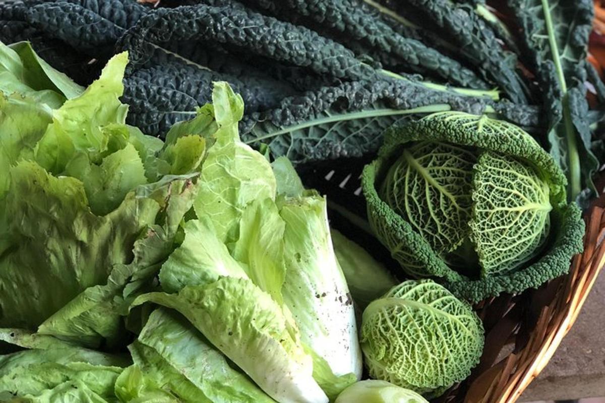 a basket filled with green lettuce and other vegetables