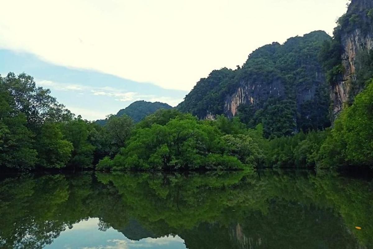 Una vista de un río con árboles y montañas.