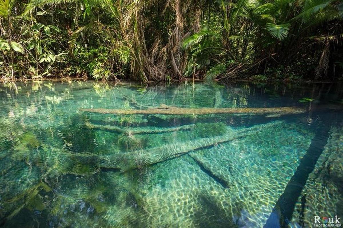 una piscina d'acqua con dei pesci dentro