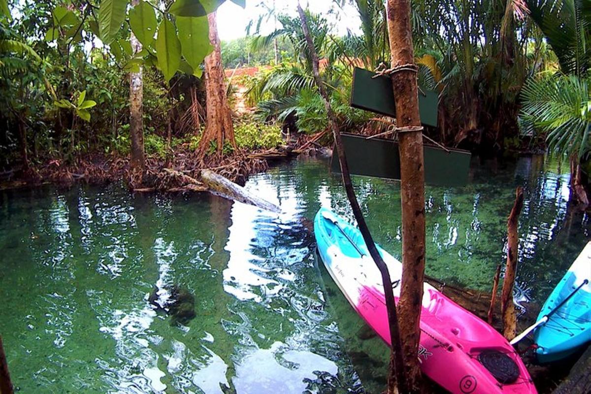 tre kayak sono legati a un albero in acqua