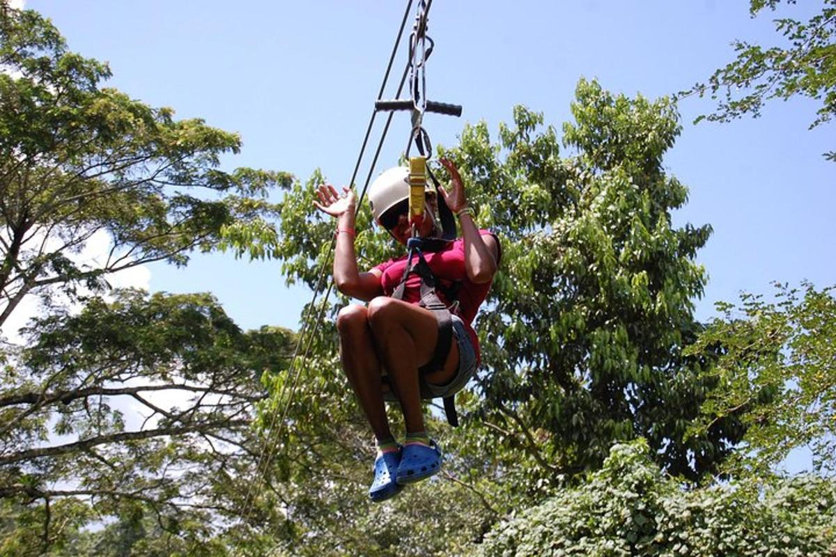 a person on a rope swing in front of trees
