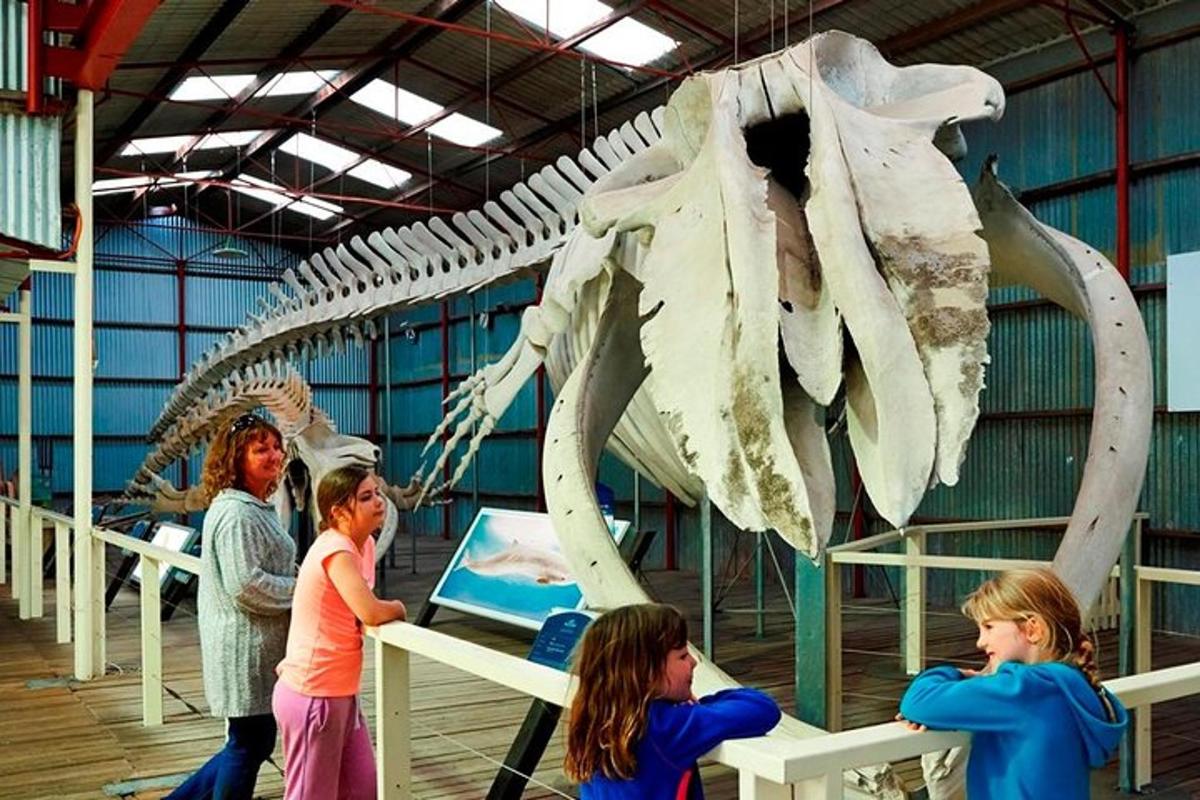 a group of children looking at a skeleton of a dinosaur