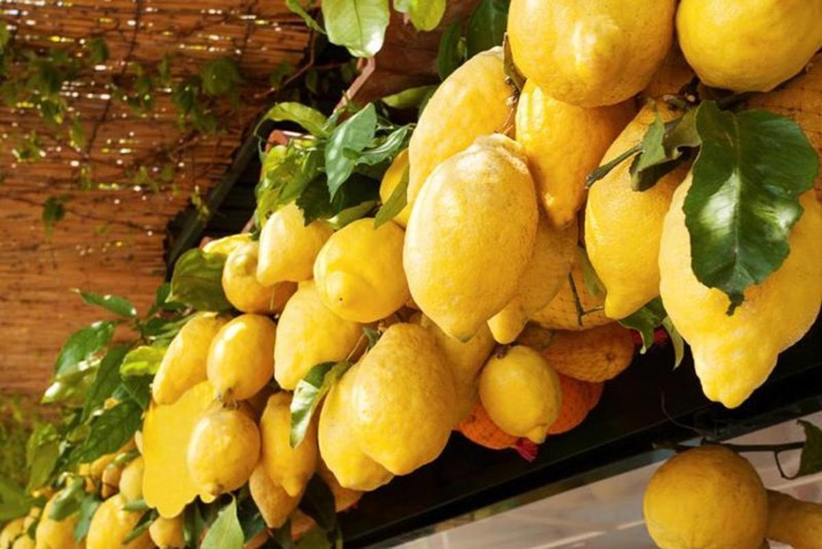 hrozen žlutých citronů visících na zdi