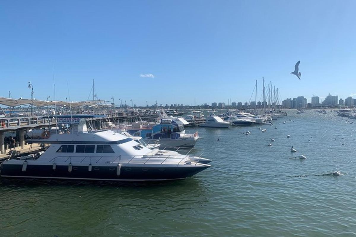 a large boat is docked in a marina