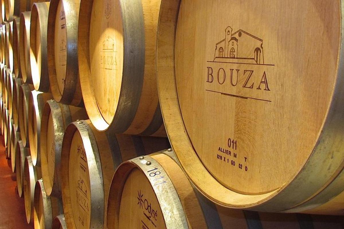 uma fileira de barris de vinho de madeira em uma adega