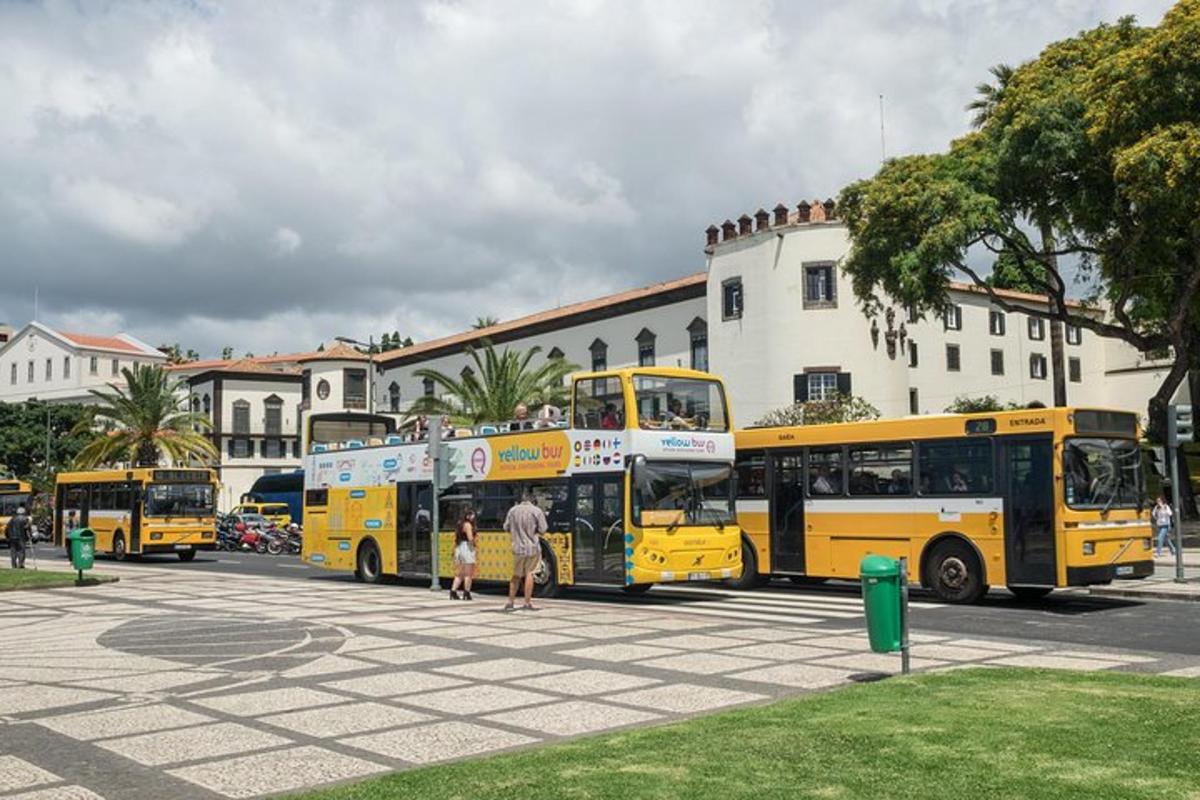 egy csoport sárga busz parkolt egy parkolóban