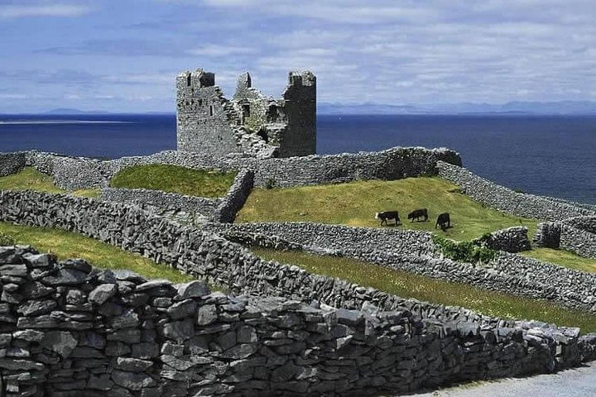 a castle sitting on top of a hill with cows