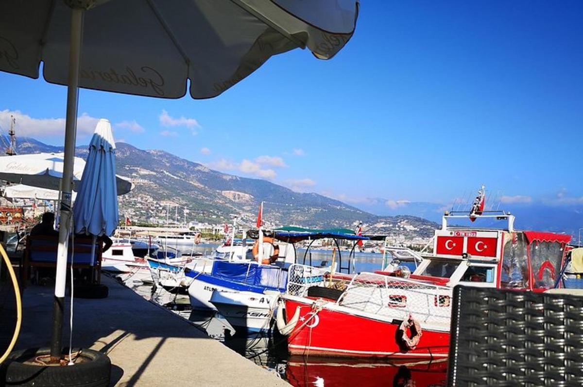 un grup de vaixells estan atracats en un port