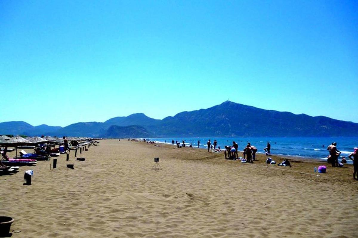 grupa ljudi koji stoje na plaži