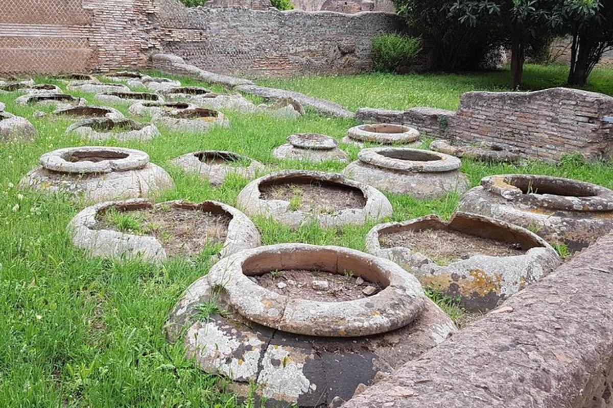 un mucchio di vecchi sedili di cemento nell'erba