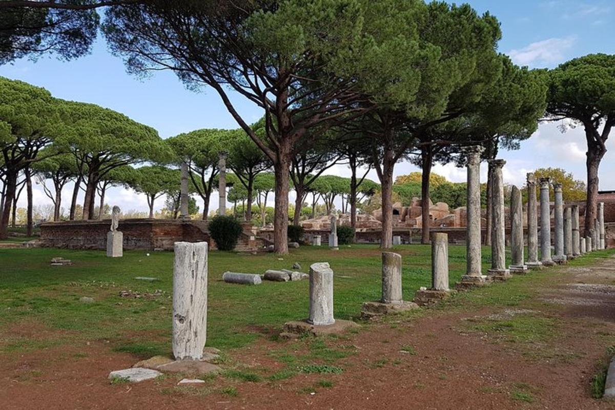 una fila di colonne in un campo con alberi