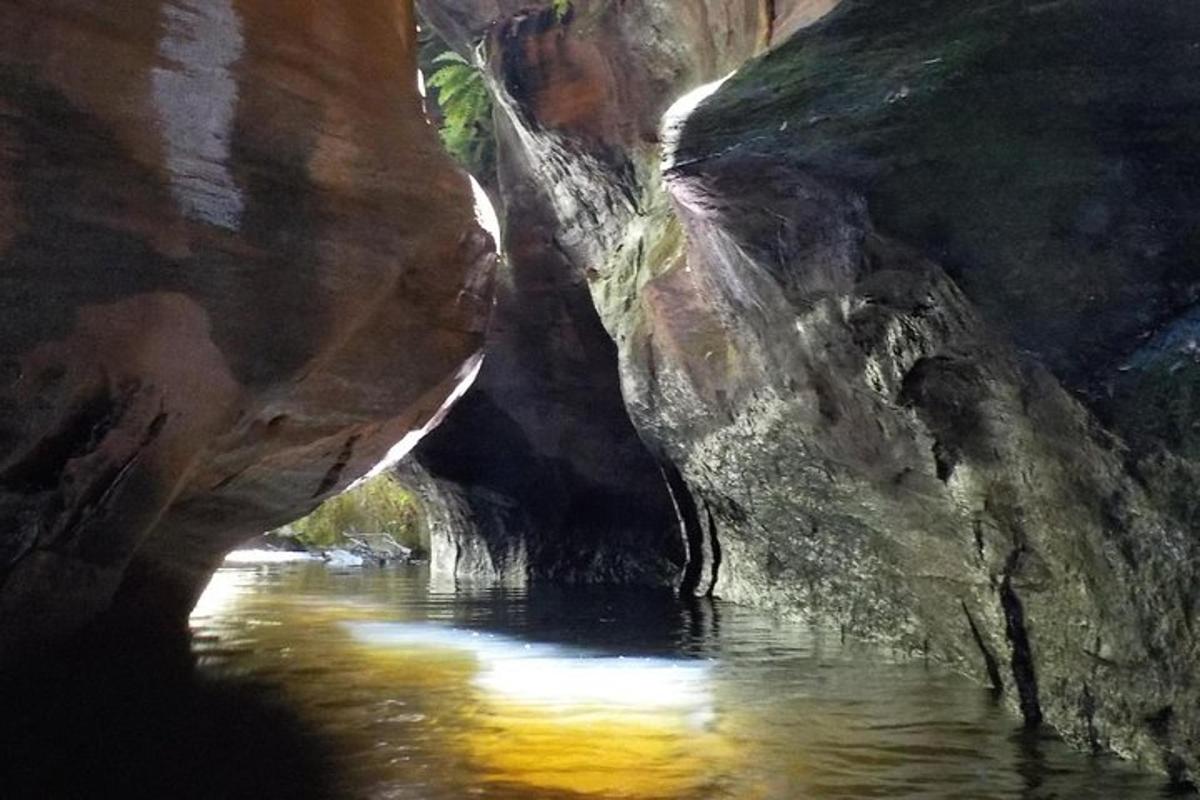 a painting of a river in a cave