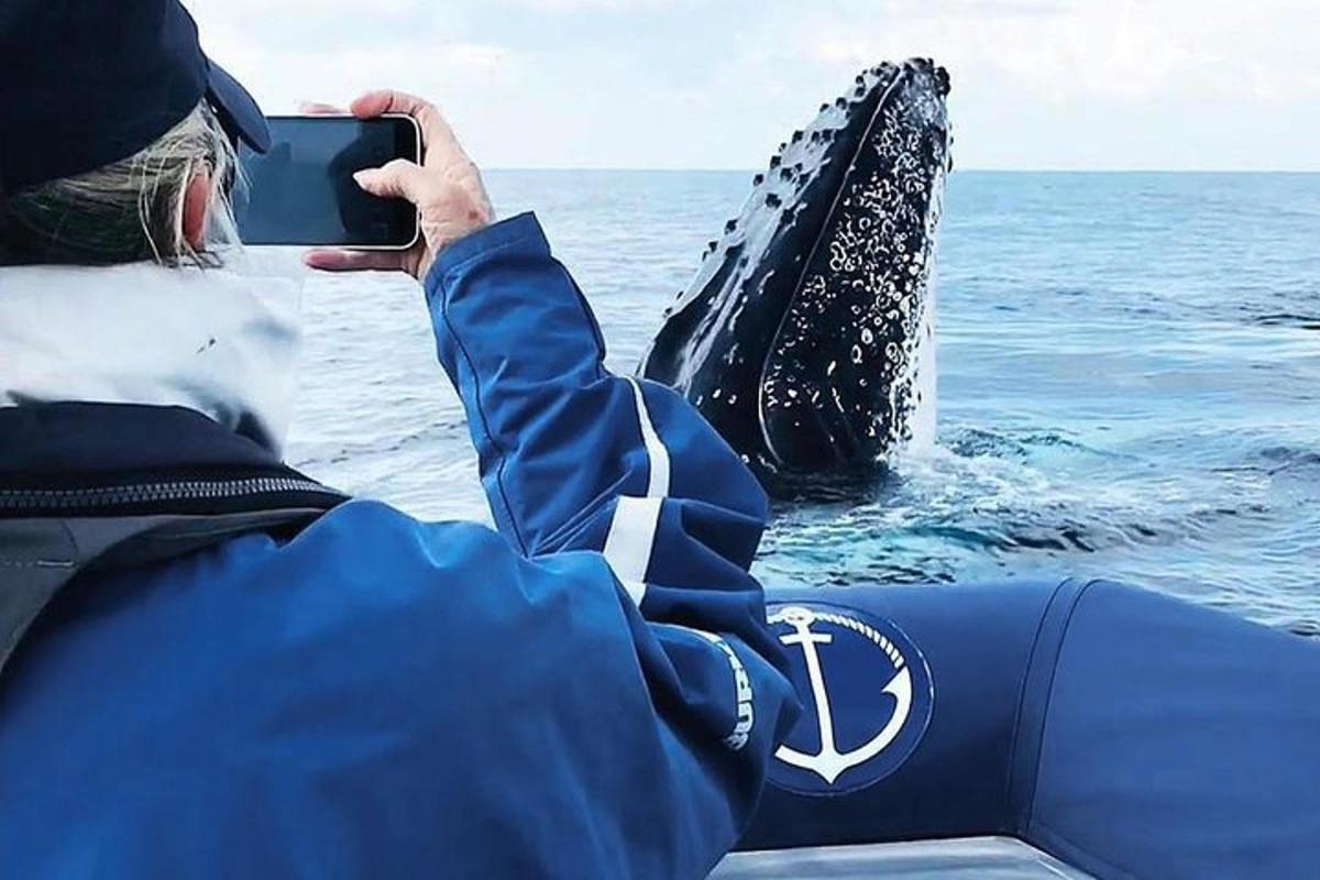 een persoon die een foto maakt van een walvis in het water