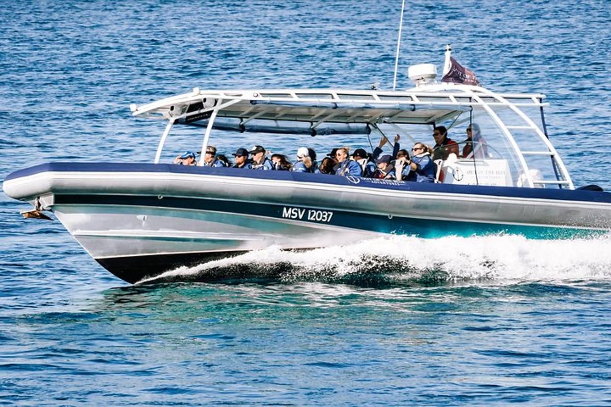 a group of people on a boat in the water