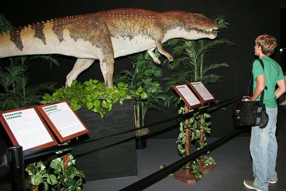 a man standing next to a fake crocodile on display