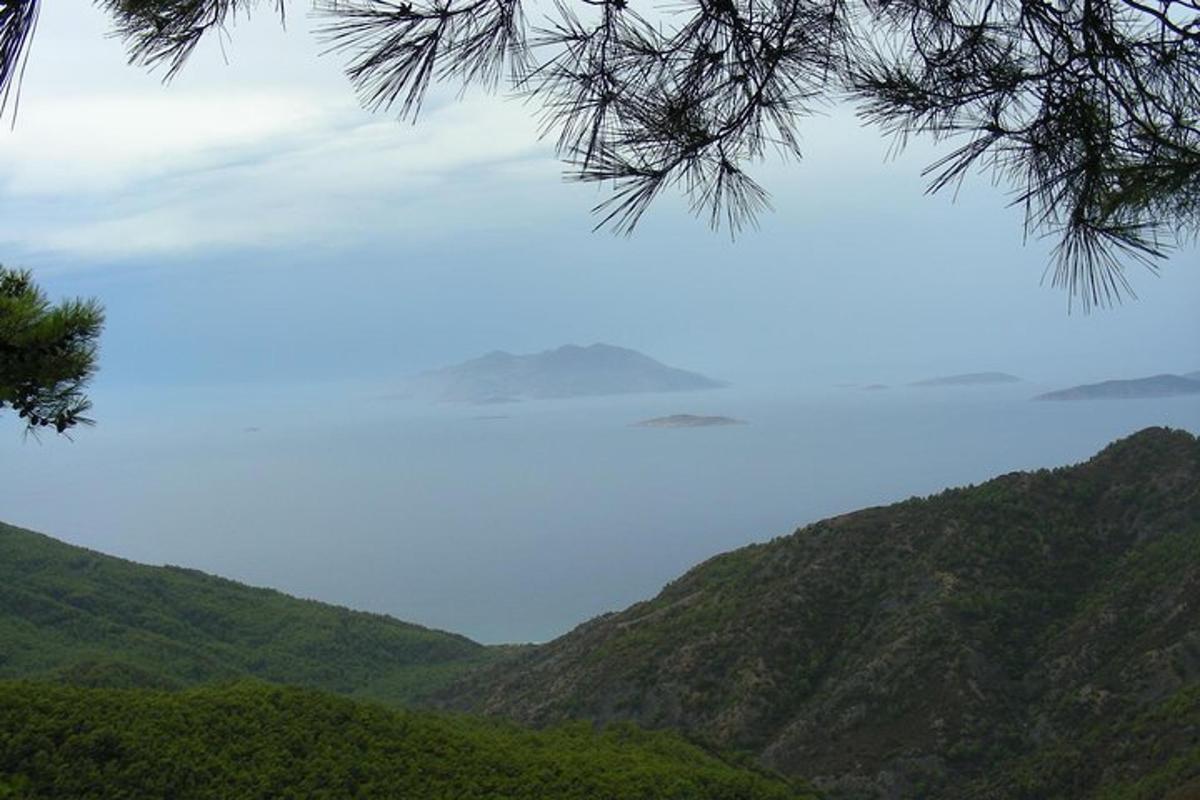 Una vista de una cadena montañosa con un árbol.