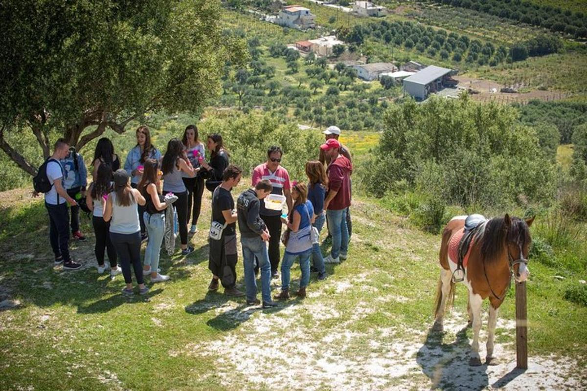a group of people looking at a horse on a hill