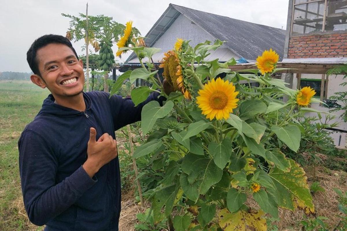 ein Mann steht neben einer Sonnenblume