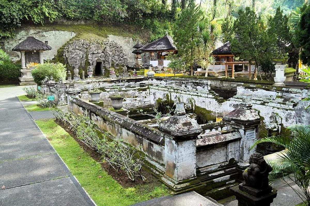 un vecchio edificio in pietra con piante nell'erba
