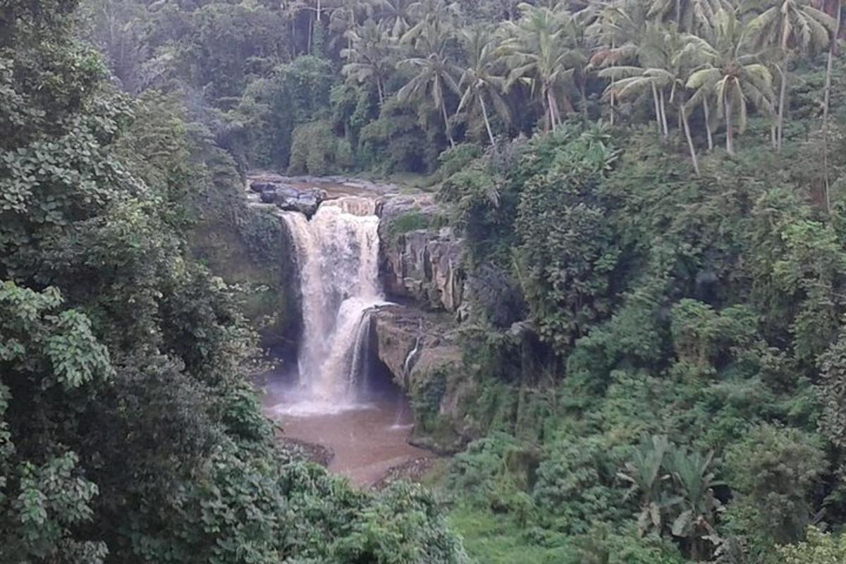 una cascata nel mezzo di una giungla