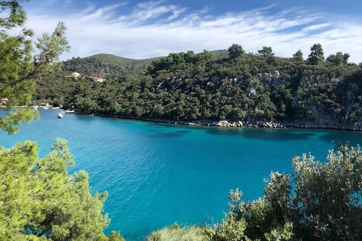 veliko modro jezero s kupom dreves