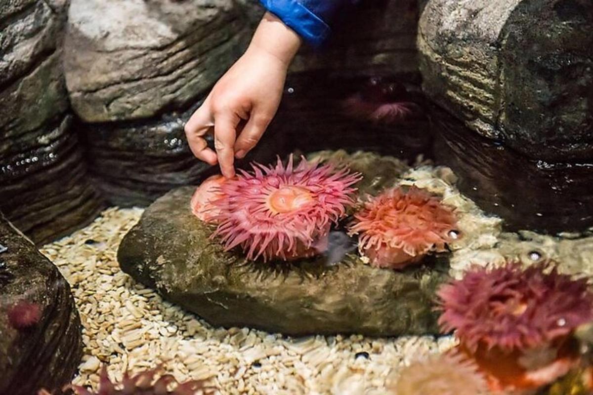 a person is reaching for a flower in an aquarium
